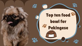 Top ten food bowl for Pekingese | We Need to Talk About Top ten food bowl for Pekingese | #cutedogs by Pet Knowledge Zone 8 views 1 year ago 4 minutes, 33 seconds