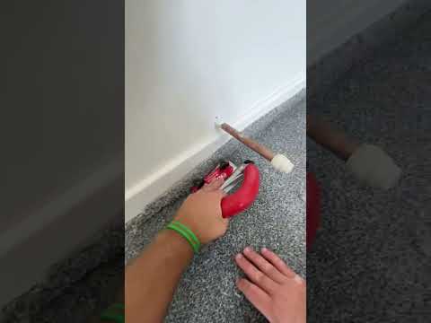 How Thick Is Carpet