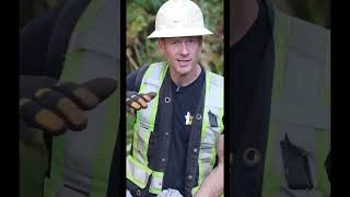 The Secrets To Gold Mining History #gold #prospect #treasure
