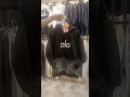 براند العظماء 