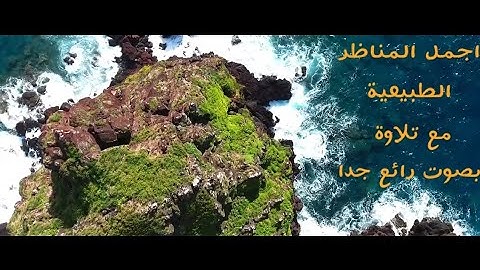 تلاوة طيبة من سورة الطور تراويح ليلة 26 رمضان 1440 للشيخ هلال عبدالمالك