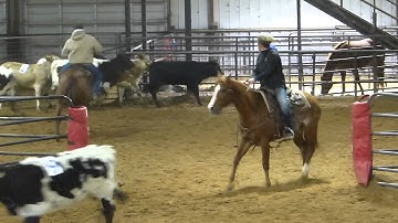 Skeetins Red Feather - sorting practice 2 - Valley View Ranch
