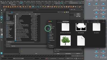 NEW 2022 Arnold standard shader with alpha workflow