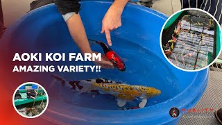 AOKI KOI FARM WALKTHROUGH - SPECIAL VARIETIES!!