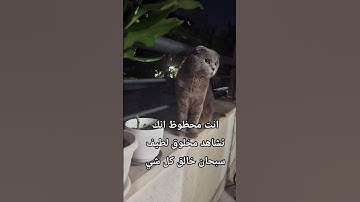 #اكسبلور قرآن بصوت جميل  #اللحيدان #راحة_نفسية #تلاوة_خاشعة #قرآن