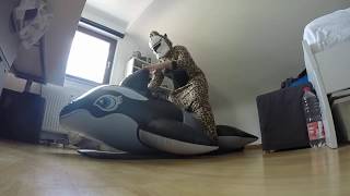 intex whale riding