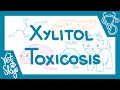 Xylitol Toxicosis - causes, pathophysiology, symptoms, diagnosis, treatment