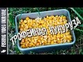 Кукуруза для трофейной рыбы | Ферментация кукурузы | 1080p | FishingVideoUkraine
