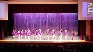 💜💛💜LMS DRILL TEAM 2018-2019💜💛💜 Spring Show