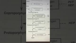 #Porphyria (part 1)