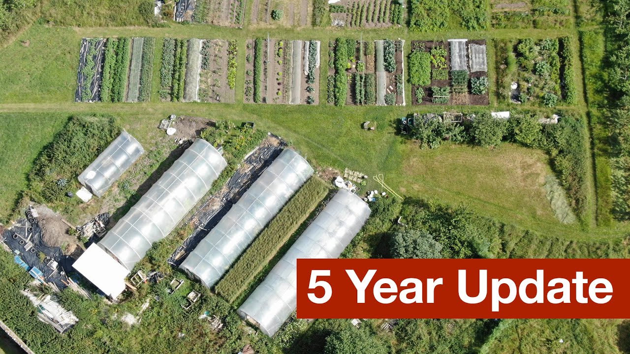 5 Year Update - The RED Gardens Project - YouTube