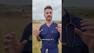 Stenotic Nares In Dogs