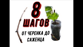 :      