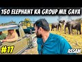 JUNGLE Me 150 HATHI Ka Group Mil GAYA😱😱|Ep#17