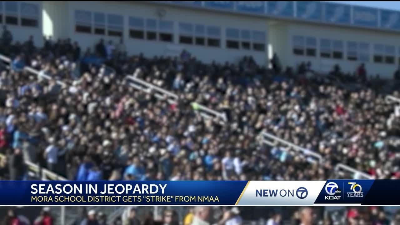 NMAA notices uptick in rowdy fans, parents during sports games YouTube