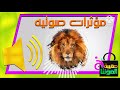 مؤثرات صوتيه للمونتاج صوت زئير الاسد راائع مؤثرات صوتيه للمونتاج صوت زئير الاسد راائع