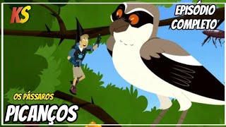 Kratts Series - o mistério da padaria - episódio completo - HD - em português Pl - krattsseries