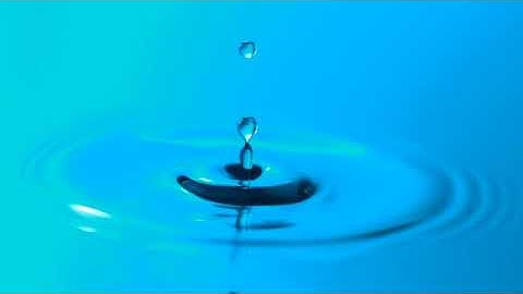 Psychology Experiment: Memory and Recall