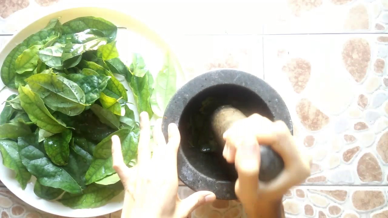 วิธีคั้นน้ำใบย่านาง แบบบ้านๆ | ครัวบ้านอาหารทำกินเอง - YouTube วิธีคั้นน้ำใบย่านาง แบบบ้านๆ | ครัวบ้านอาหารทำกินเอง - Youtube