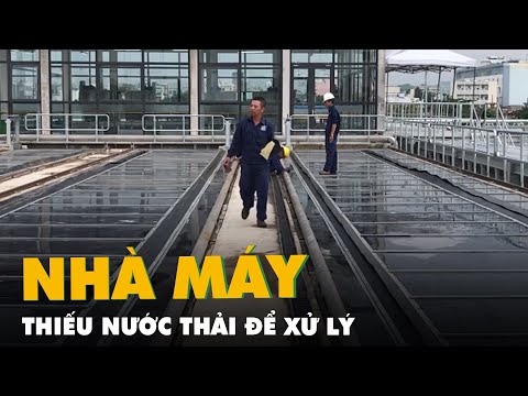 Video: X-22: khả năng và mục đích