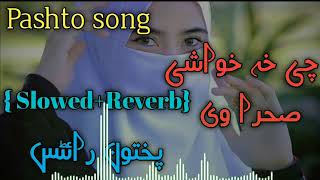 Chey kha khoshey sahra wey za sta wey ya zma wey pashto new songas pashto ghazal