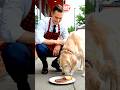 The Heartwarming Story of the Kind Waiter and the Golden Retriever Family