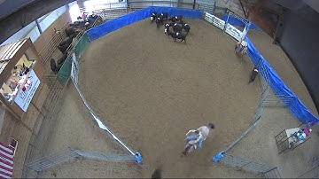 Big Sky Ranch Sorting Saddle Series #5 - #3 - Round #2 - Ride #4