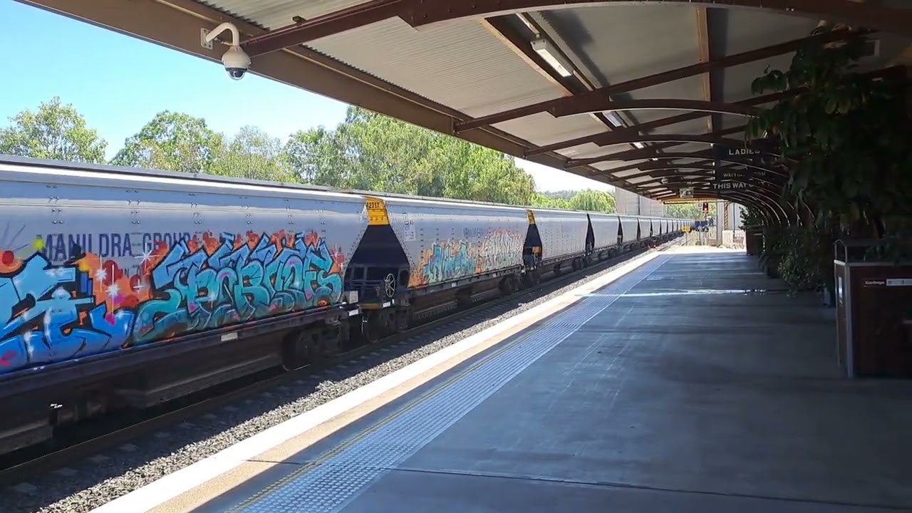 Loaded Manildra Grain Train through Gunnedah destination Boomaderry Nowra 24/2/26