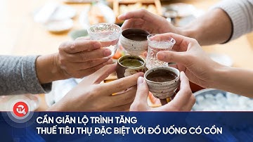 Cần giãn lộ trình tăng thuế tiêu thụ đặc biệt với đồ uống có cồn | Truyền hình Quốc hội Việt Nam