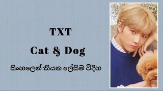 TXT - Cat & Dog ( sinhala lyrics ) සිංහලෙන් කියන ලේසිම විදිහ.