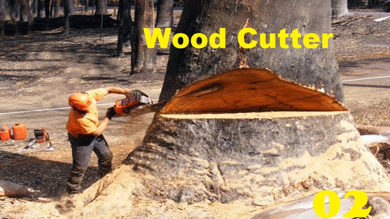 Amazing Dangerous Huge Trees Felling Skill Climbing With Chainsaw ...
