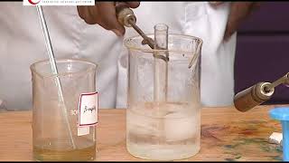 PUC / +2 / Intermediate Chemistry Practicals | Organic Compound | Identification of Functional group