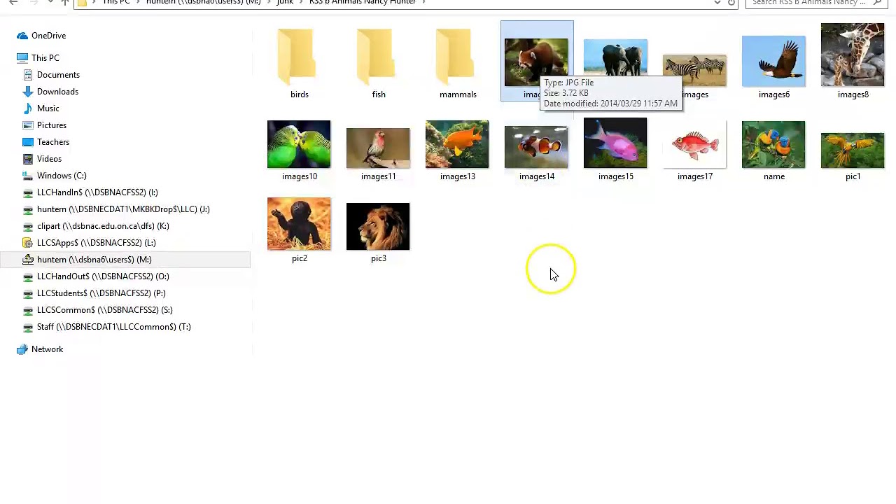4 File Management copy paste rename for RSS exercise - YouTube
