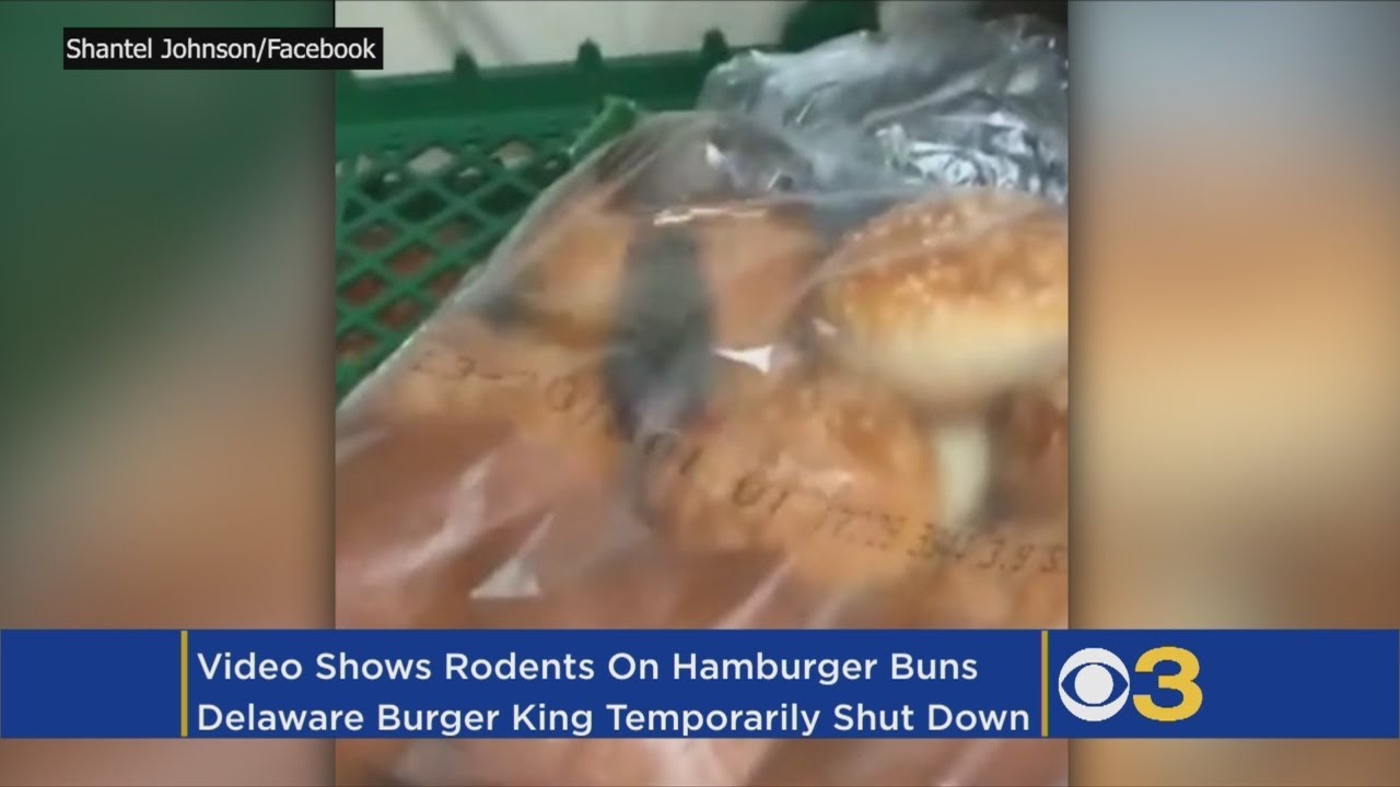 Delaware Burger King Temporarily Shut Down After Video Shows Rodents On Rolls, Health Department Say