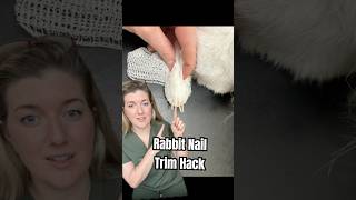 Rabbit nail trim hack!