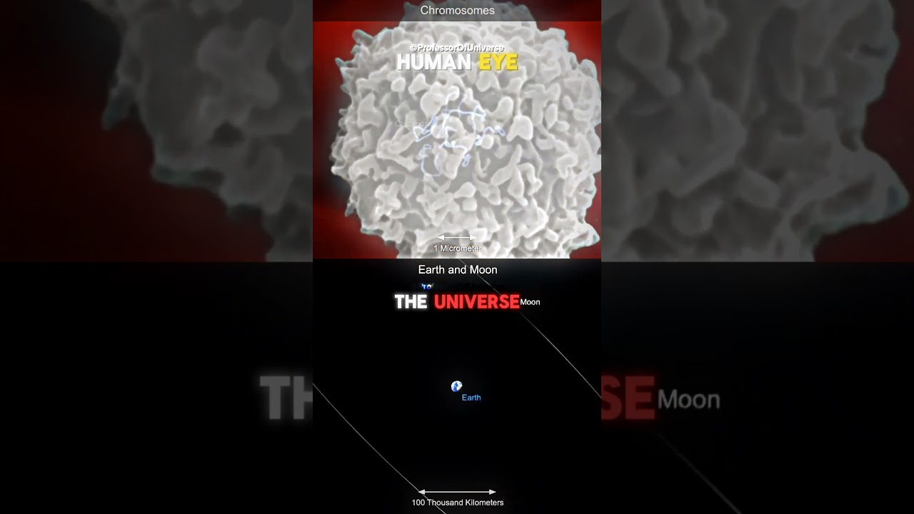 ⁣Zoom in/out comparison | Human Eye ☠️ vs The Universe 🌌 #Space #shorts
