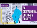 Study ba digital media culture and society  animation