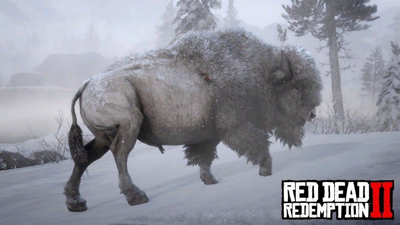 RED DEAD REDEMPTION 2 Como no cazar a un bisonte legendario - YouTube