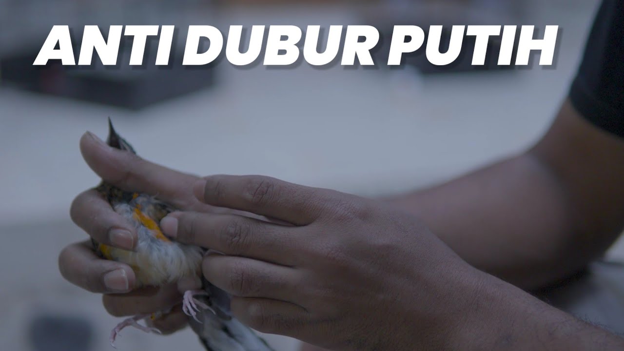 АНТИБЕЛЫЙ АНУС‼️вот в чем секрет