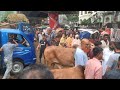 শাজাহানপুর গরুর হাট