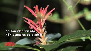 Reserva Biocultural Kaxil Kiuic