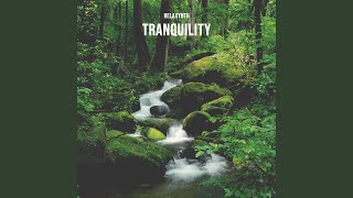 Tranquility, Pt. 2