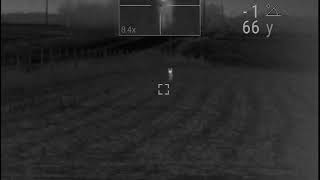 Coyote Pursuit Thermal Pulsar Trail Porch Coyote 1Of 2