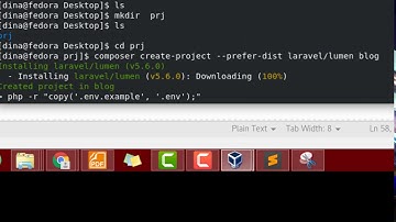 How to fix composer nothing to install &laravel cmd not found&Permission denied