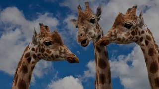 Slideshow with beautiful music (Fabrizio Paterlini - My Piano, The Clouds) (HD)