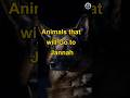 Animals that will go to jannah  shorts islam viral