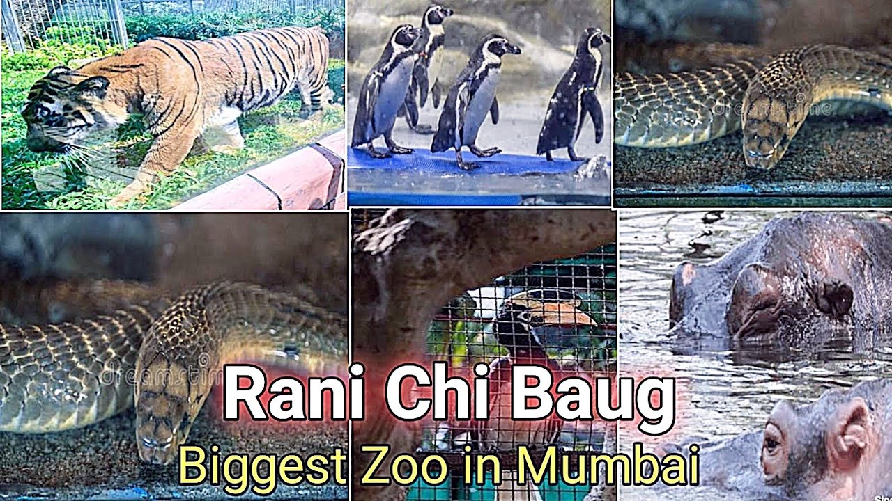 Mumbai's Zoo Renamed After A Muslim Seer? No, Viral Claim Is False!