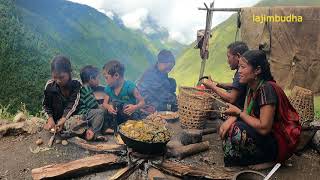 himalayan people life during crops harvesting season || lajimbudha ||