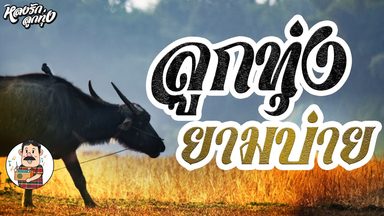 📌ลูกทุ่ง ยามบ่าย [ใบตองรองน้ำตา ,ผู้แพ้รัก]