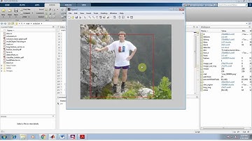 IEEE 2014 MATLAB OCCLUSION HANDLING VIA RANDOM SUBSPACE